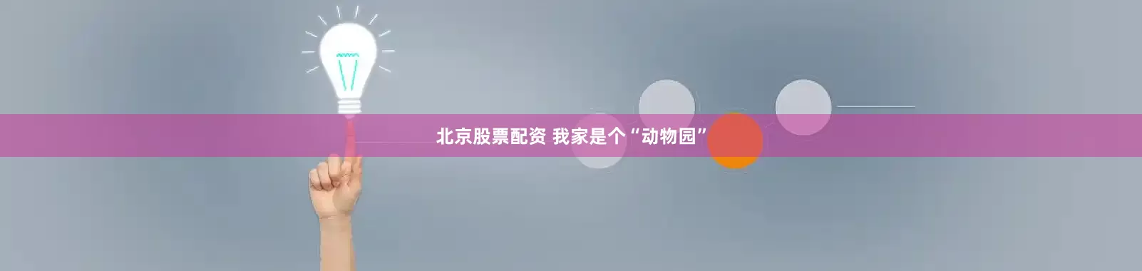 北京股票配资 我家是个“动物园”