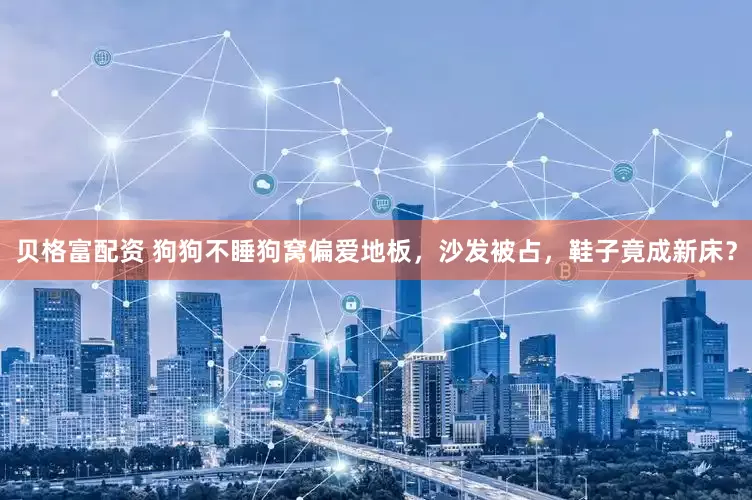 贝格富配资 狗狗不睡狗窝偏爱地板，沙发被占，鞋子竟成新床？