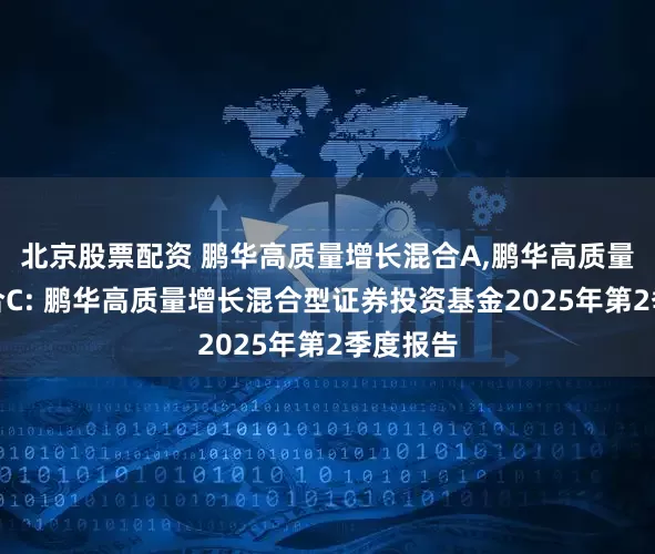 北京股票配资 鹏华高质量增长混合A,鹏华高质量增长混合C: 鹏华高质量增长混合型证券投资基金2025年第2季度报告