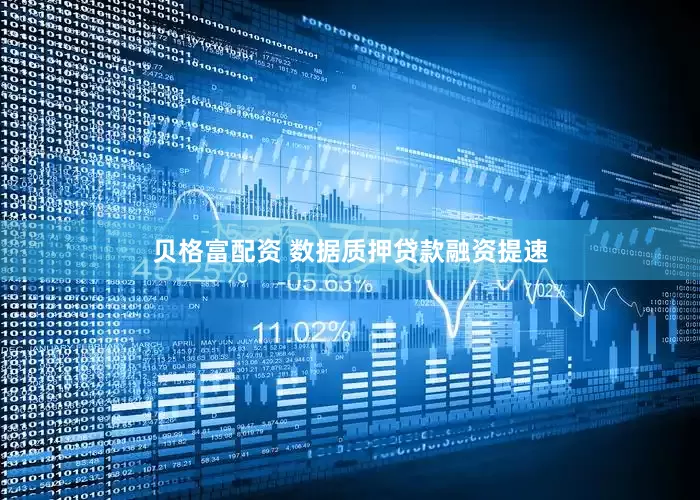 贝格富配资 数据质押贷款融资提速